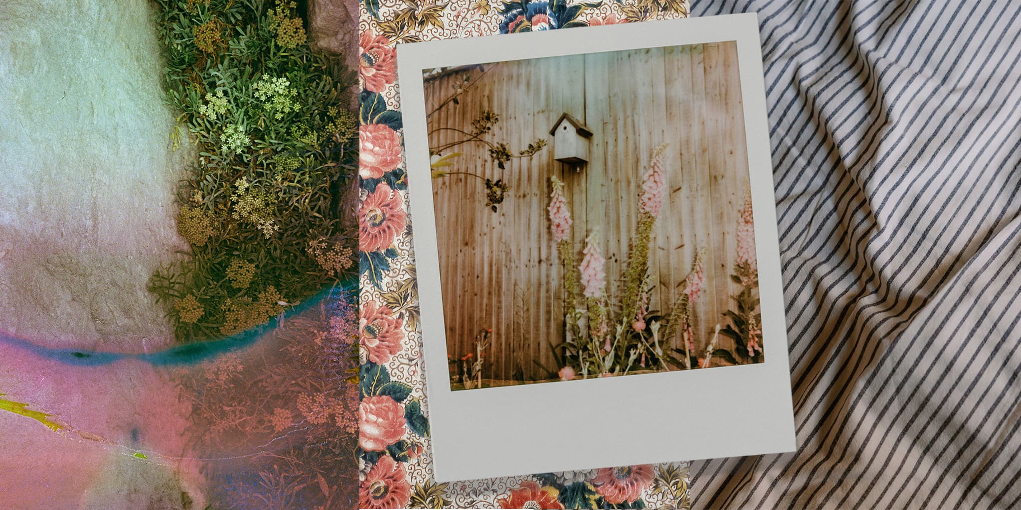 Image Library